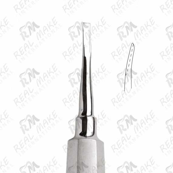 Root Elevators (Coupland) (mm 3)