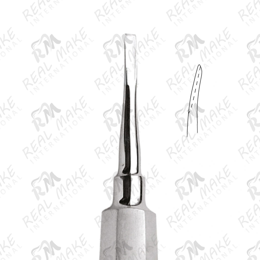 Root Elevators (Coupland) (mm 3)