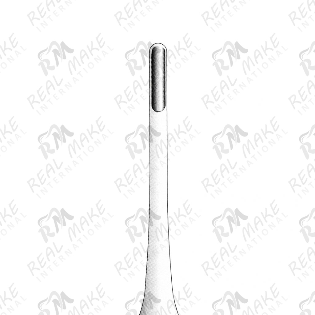 Root Elevators (Bein) (mm 4)