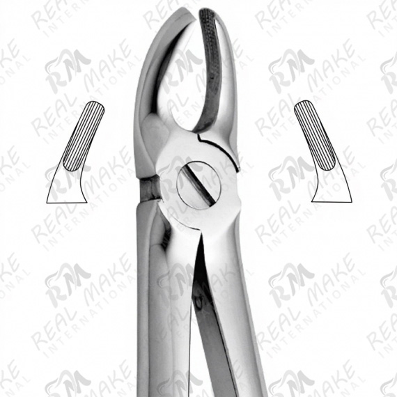 Pedodontic Tooth Forceps For Upper Premolars & Molars, For Children