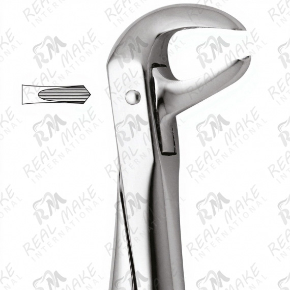 Tooth Forceps For Lower Molars