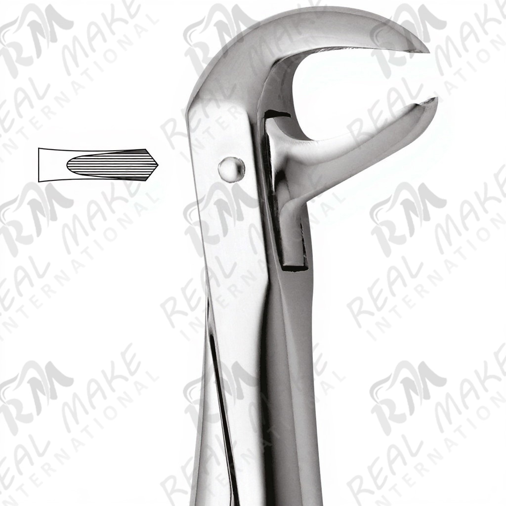Tooth Forceps For Lower Molars