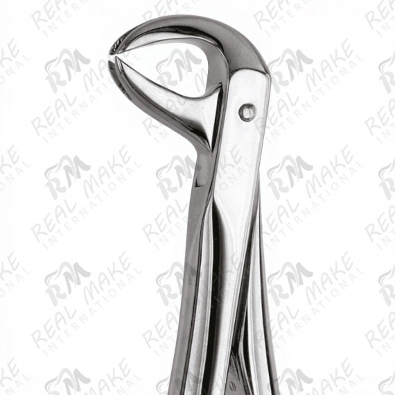 Tooth Forceps Universal application