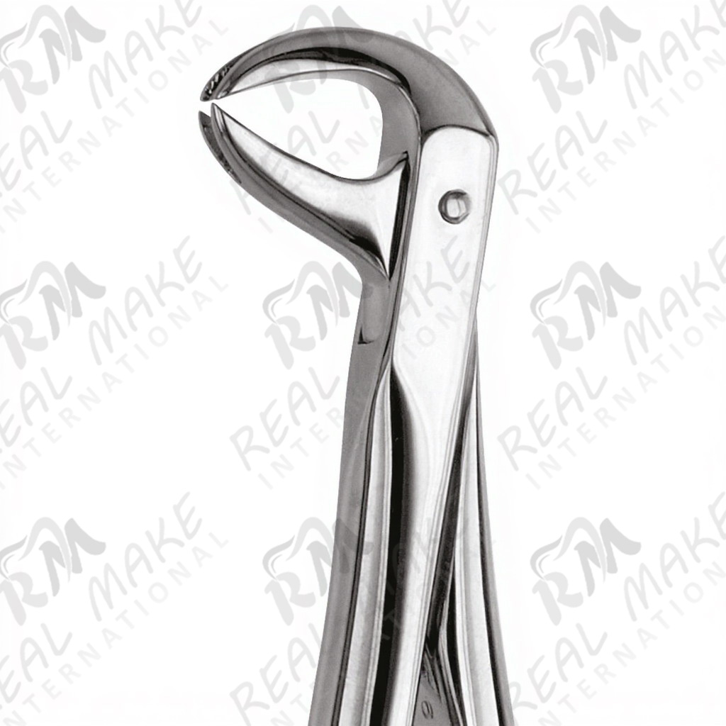 Tooth Forceps Universal application