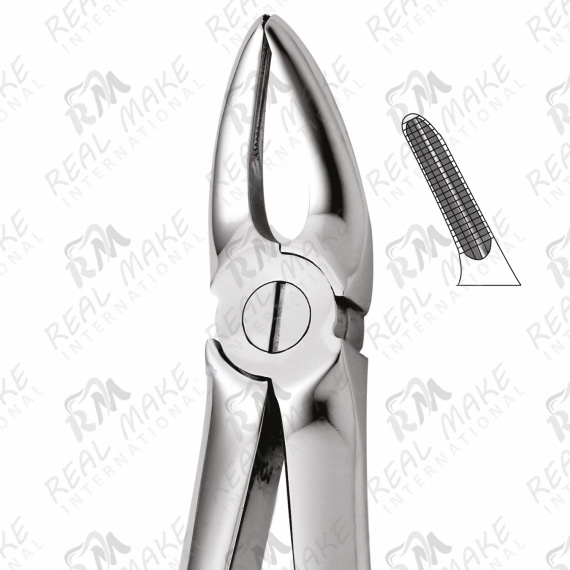 Tooth Forceps For Upper Roots