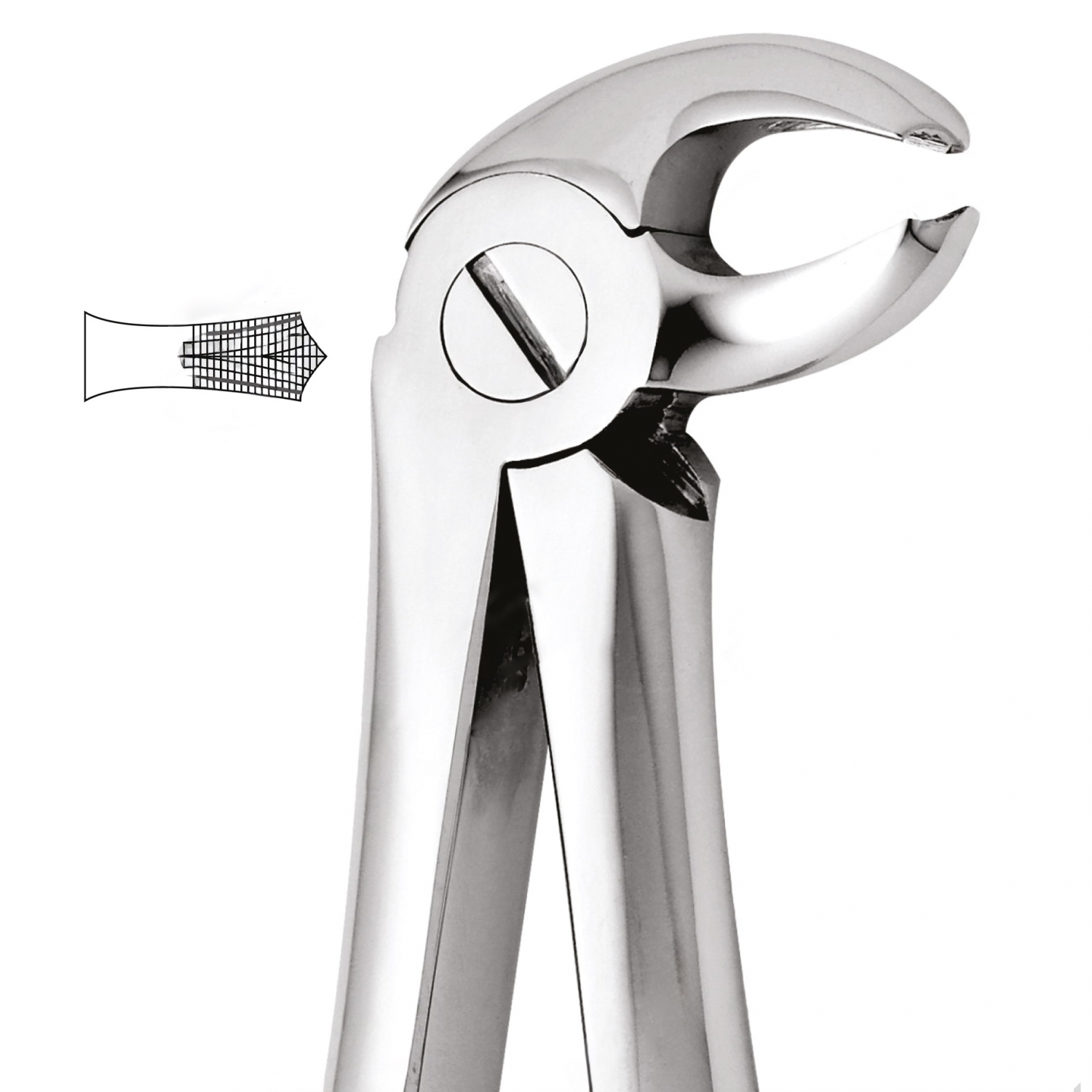 Tooth Forceps For Lower Molars