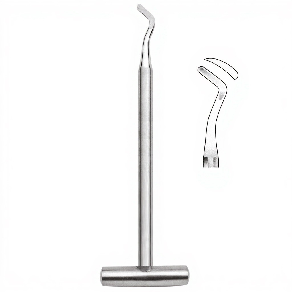  Root Elevators (POTT) (mm 3) (Right)