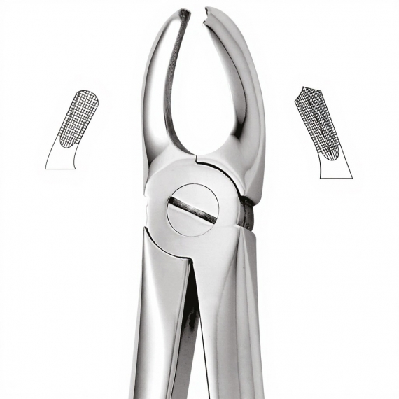 Tooth Forceps For Upper Molars, Left