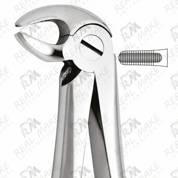 Tooth Forceps For Lower Premolars Either Side
