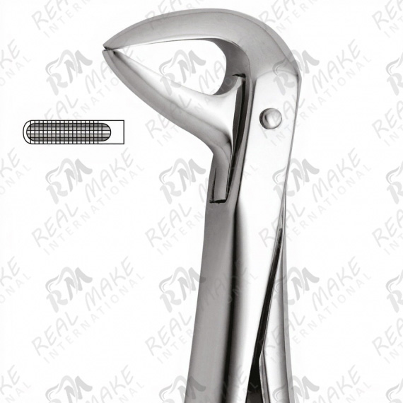 Tooth Forceps For Lower Roots & Incisors