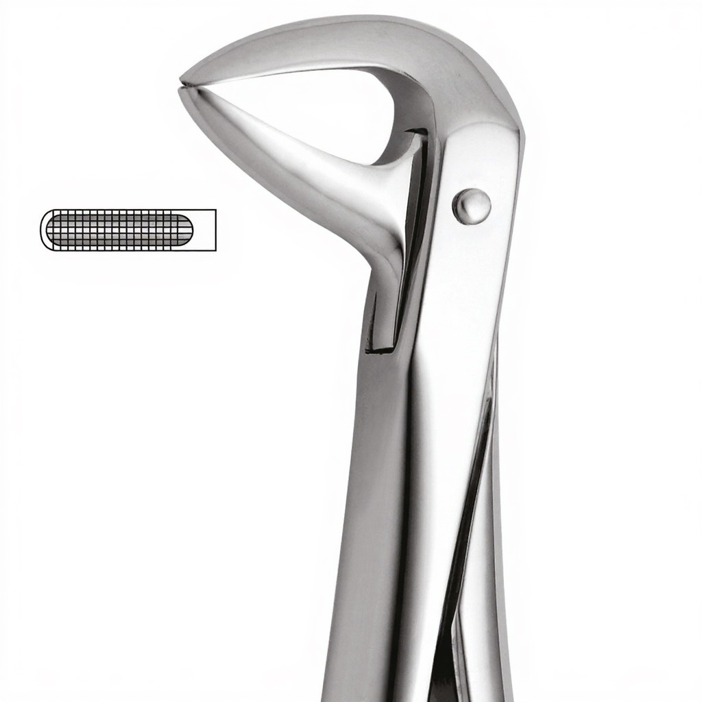 Tooth Forceps For Lower Roots & Incisors