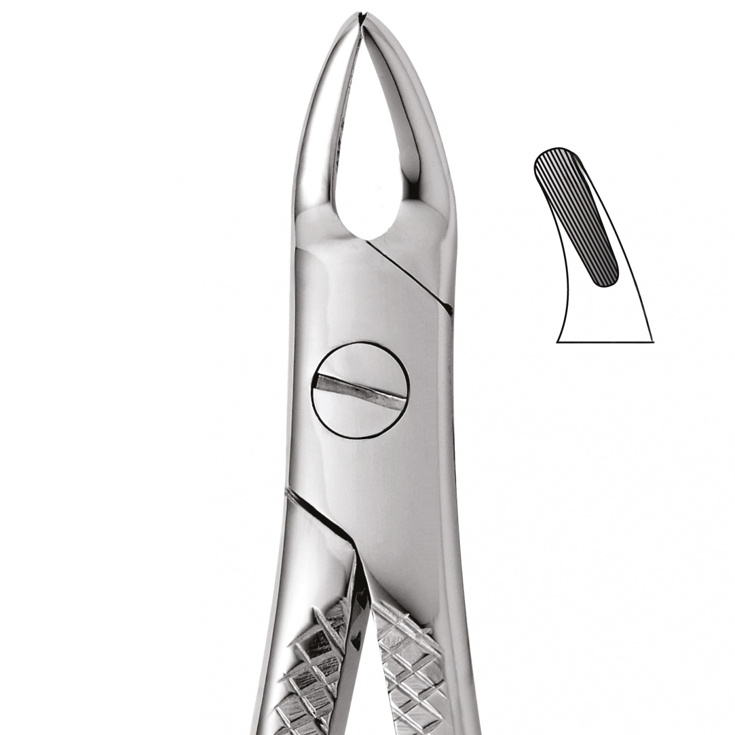Tooth Forceps For Upper Roots