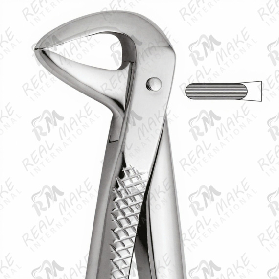 Tooth Forceps For Lower Central & Roots