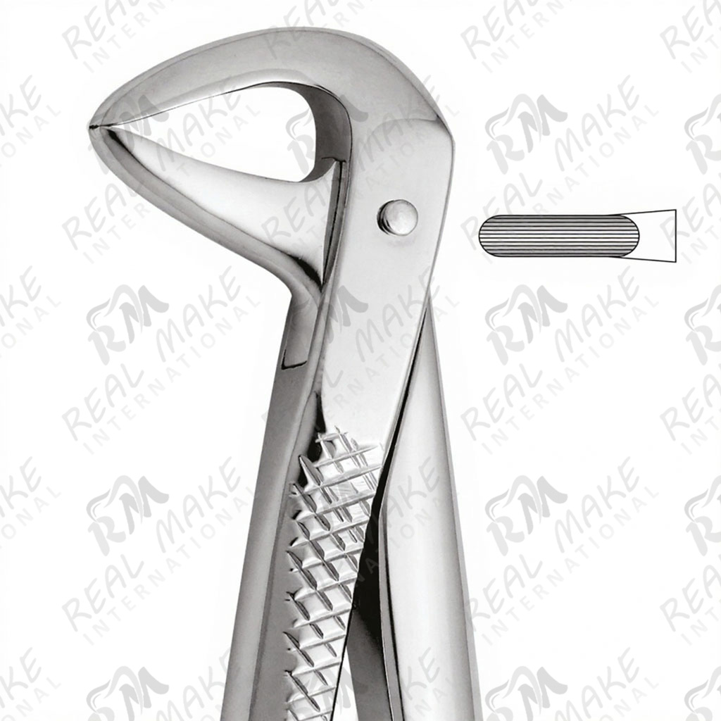 Tooth Forceps For Lower Central & Roots