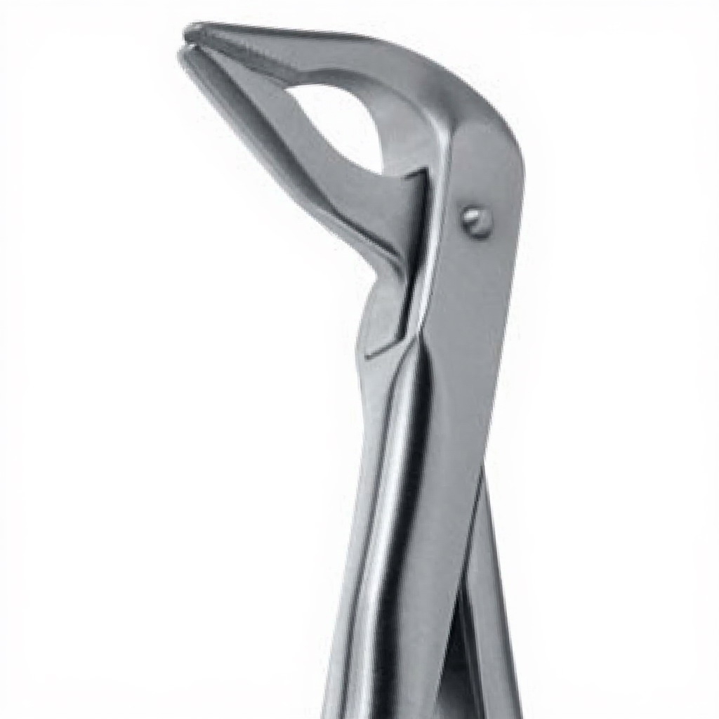 Tooth Forceps For Lower Premolars Either Side