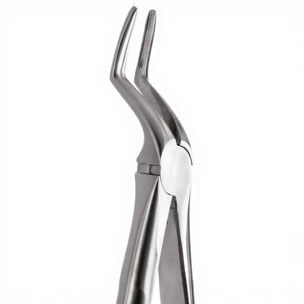 Tooth Forceps For Upper Roots
