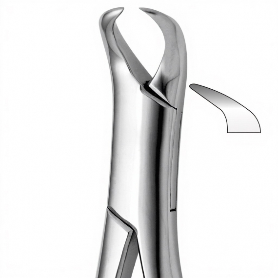 Tooth Forceps For Lower Molars, Cow-horn Beak, Either Side (Harris)
