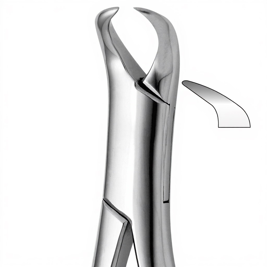 Tooth Forceps For Lower Molars, Cow-horn Beak, Either Side (Harris)