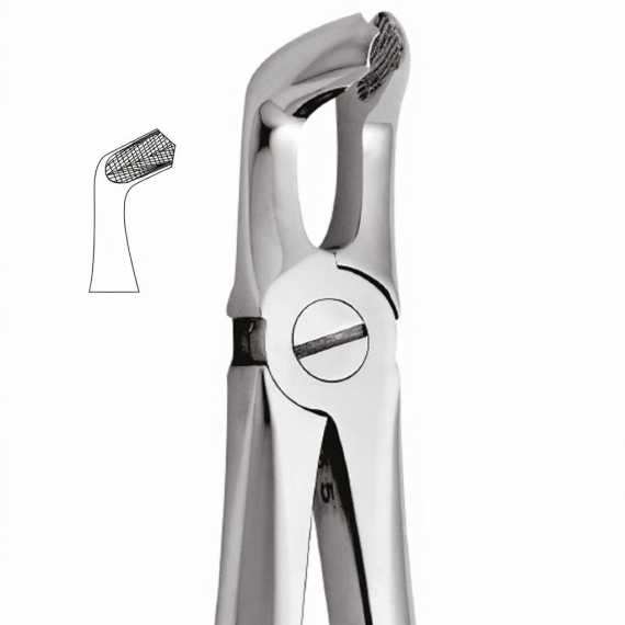 Tooth Forceps For Lower Wisdoms Either Side