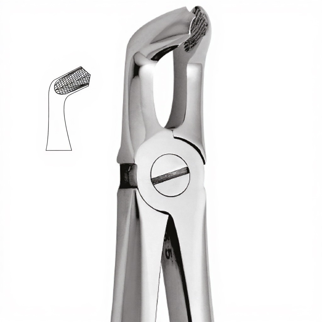Tooth Forceps For Lower Wisdoms Either Side