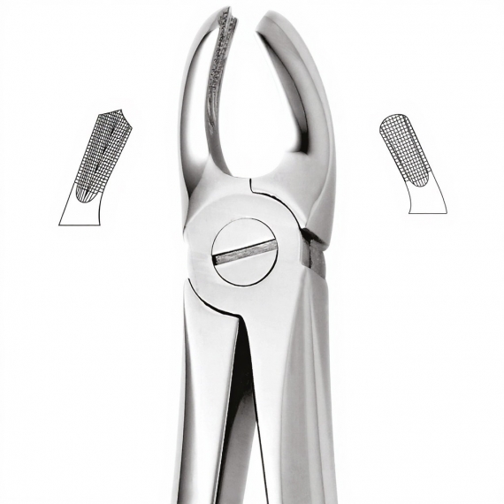 Tooth Forceps For Upper Molars, Right