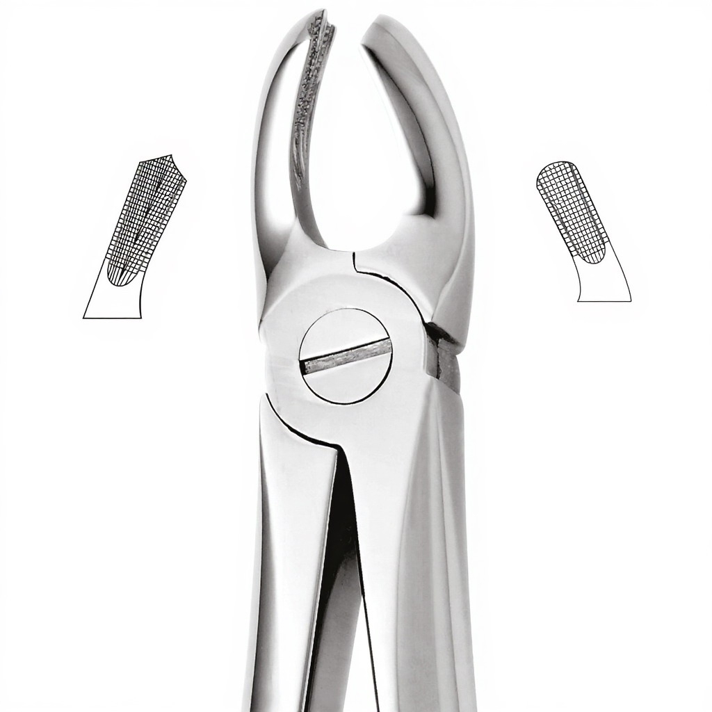 Tooth Forceps For Upper Molars, Right