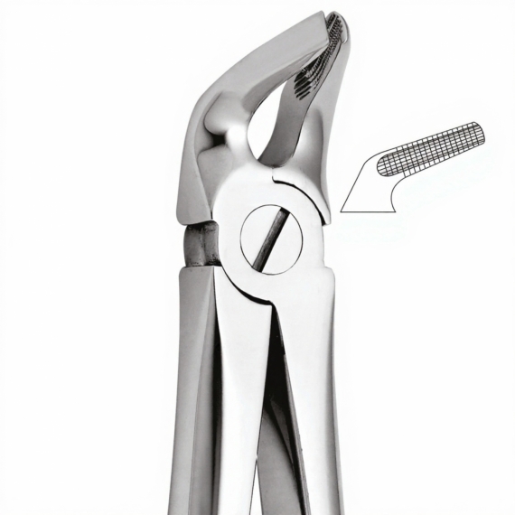 Tooth Forceps For Lower Premolars Either Side