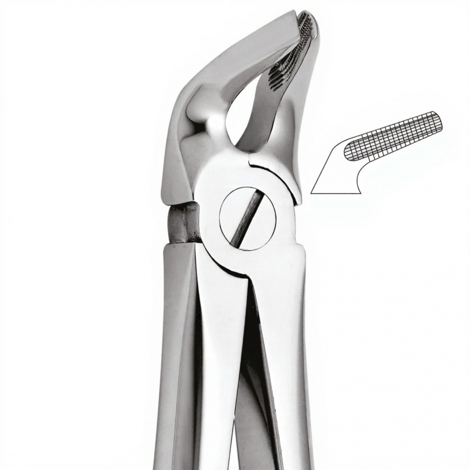 Tooth Forceps For Lower Premolars Either Side