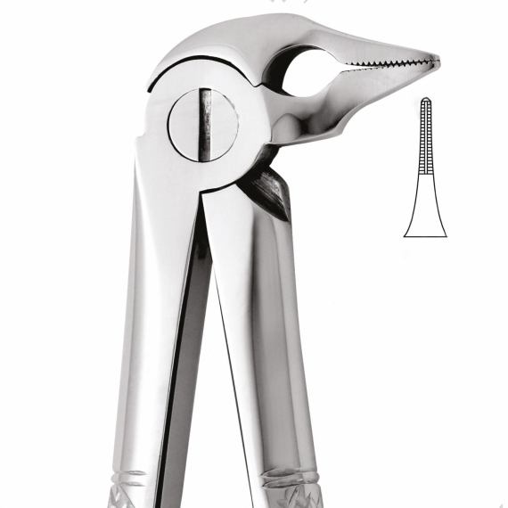 Tooth Forceps For Lower Roots