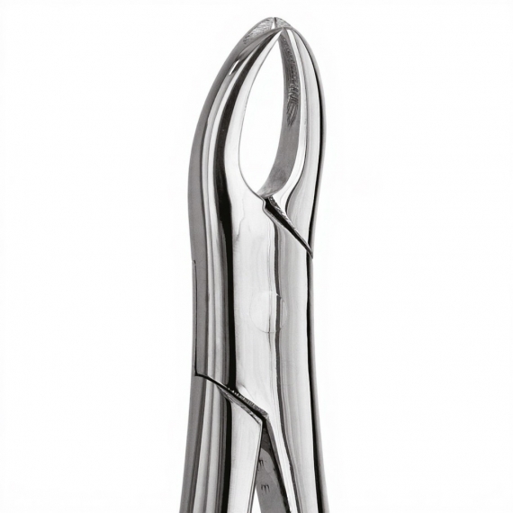 Tooth Forceps For Premolars & all Roots