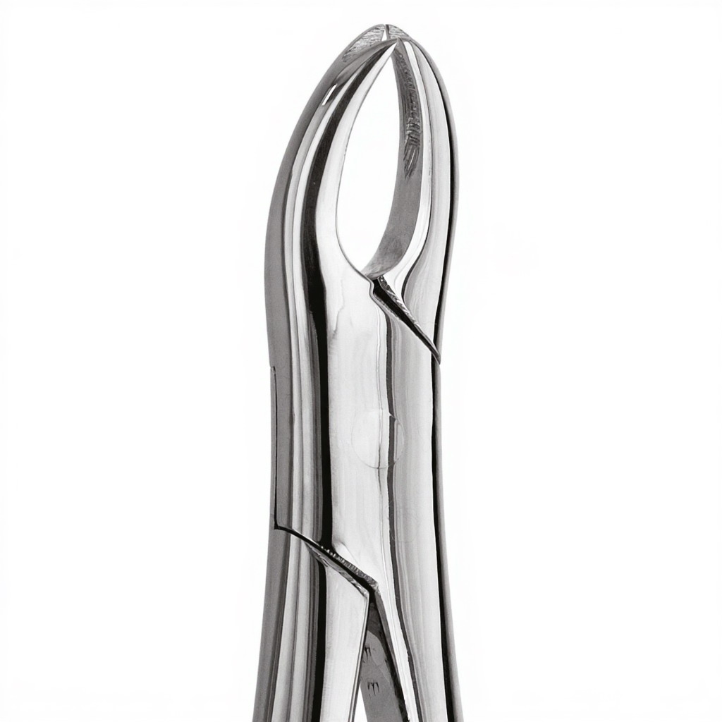 Tooth Forceps For Premolars & all Roots