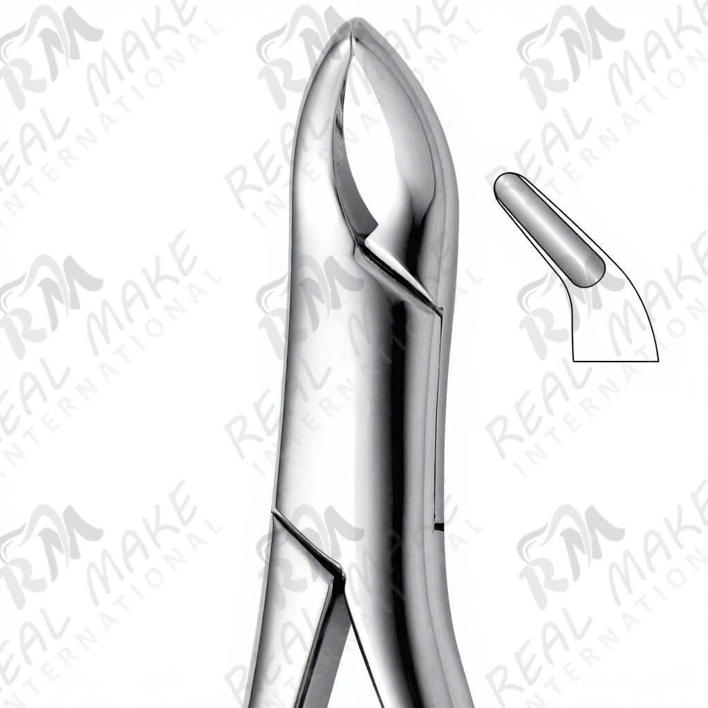 Tooth Forceps For Lower Incisors, Premolars & Roots Either Side