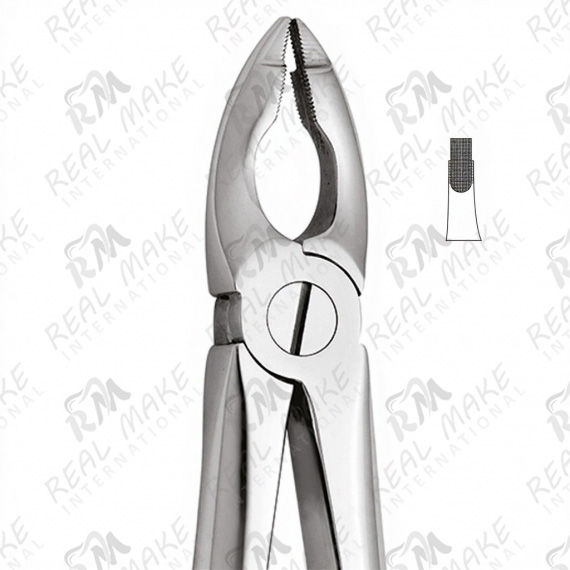 Tooth Forceps Special for Upper Centrals & Canines Deep Griping