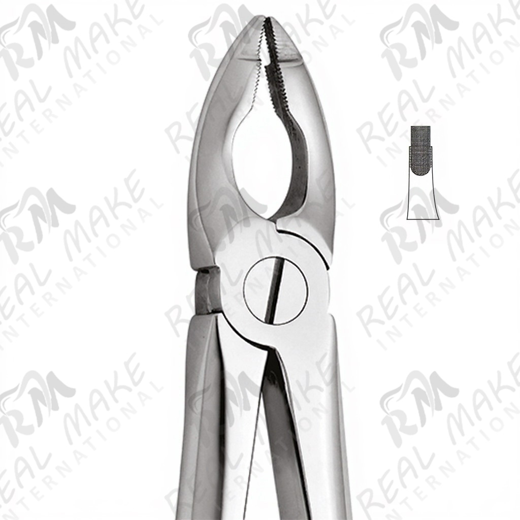 Tooth Forceps Special for Upper Centrals & Canines Deep Griping
