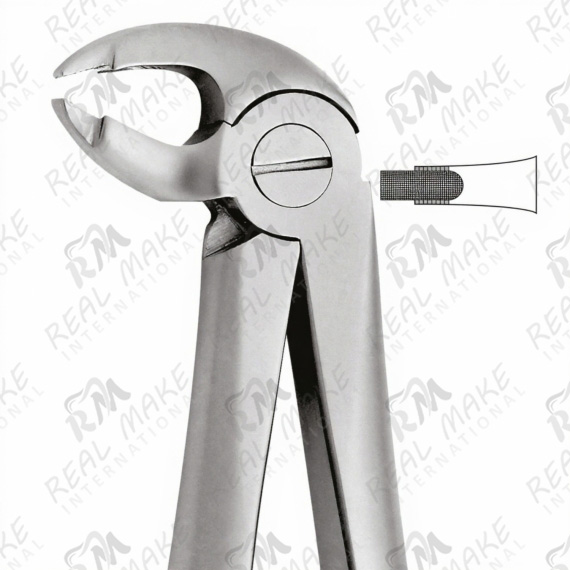 Tooth Forceps For Lower Central Canines & Premolars deep Gripping