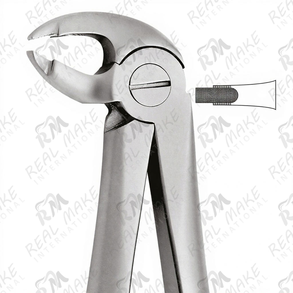 Tooth Forceps For Lower Central Canines & Premolars deep Gripping
