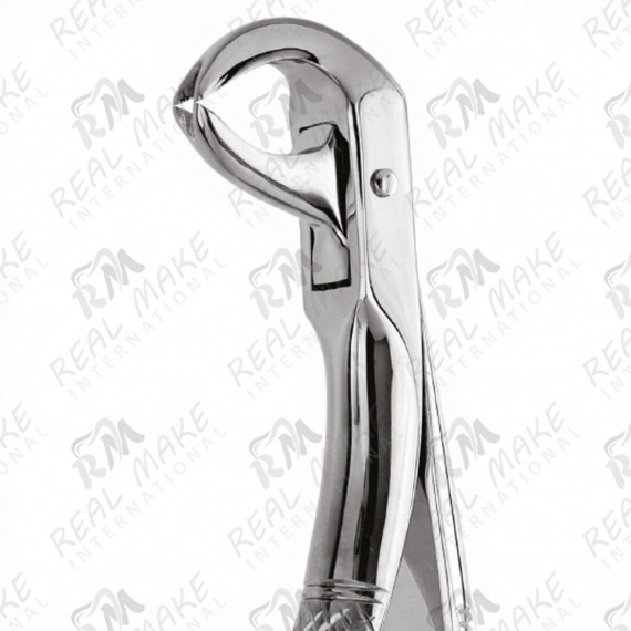 Tooth Forceps For Lingually Inclined Roots & Wisdom Teeth