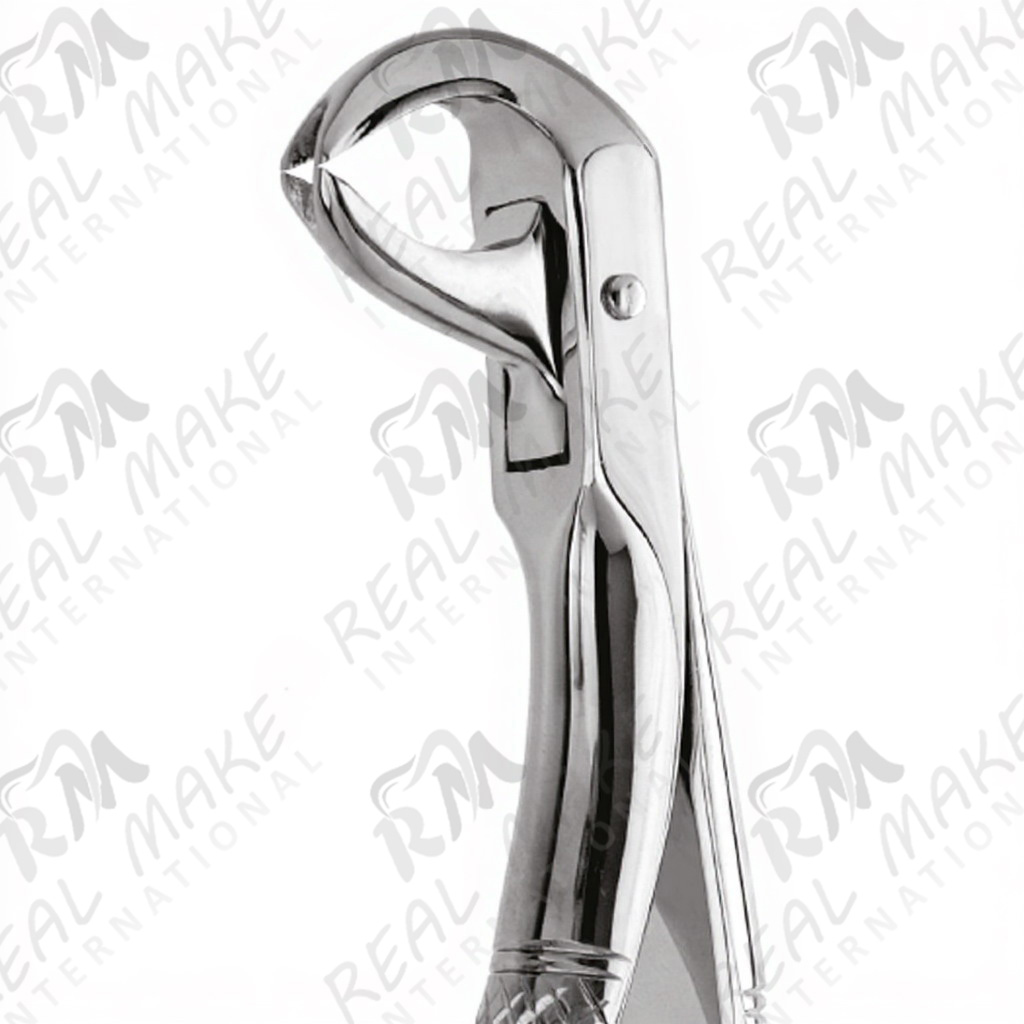 Tooth Forceps For Lingually Inclined Roots & Wisdom Teeth