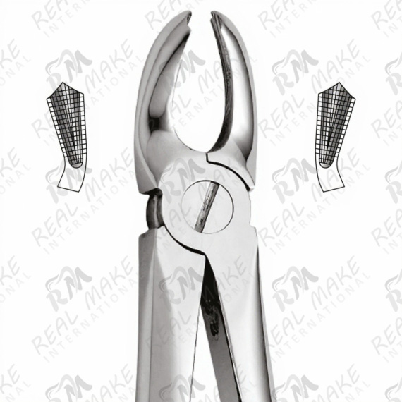 Tooth Forceps For Upper Molars, Either Side