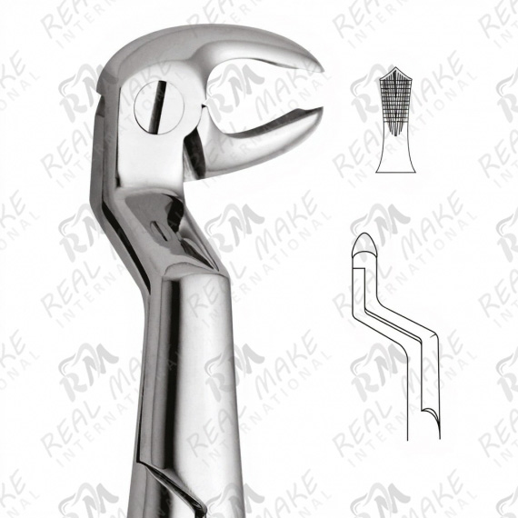 Tooth Forceps For Lower Molars & Wisdoms Right (Routurier)