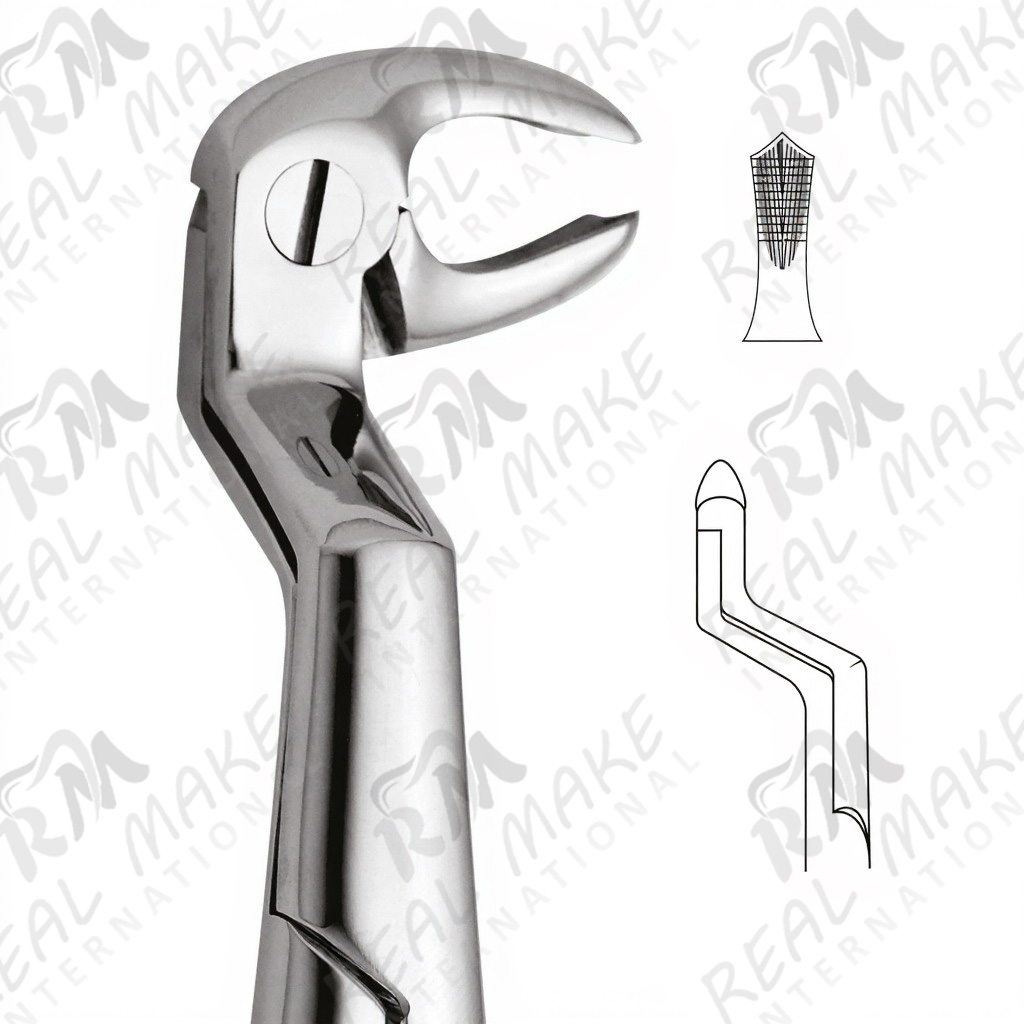 Tooth Forceps For Lower Molars & Wisdoms Right (Routurier)