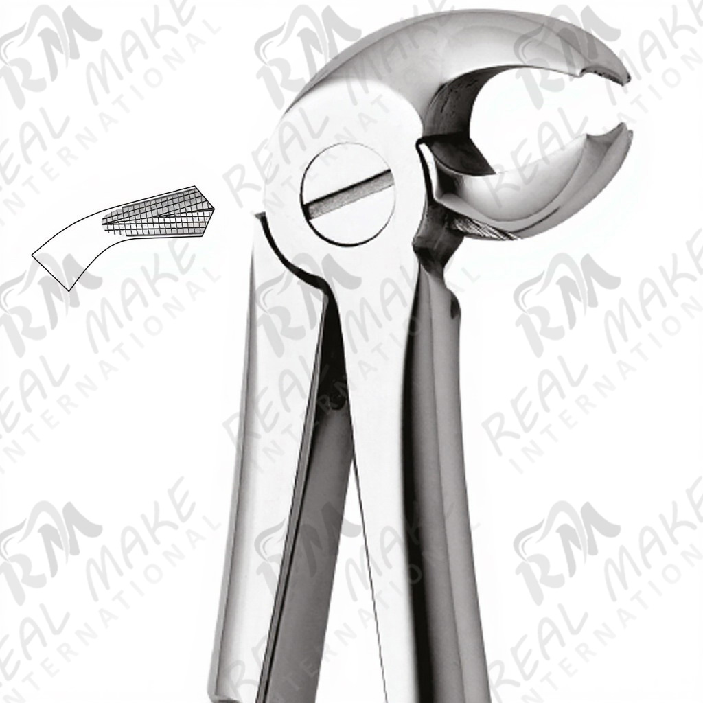 Tooth Forceps For Lower Molars, Right