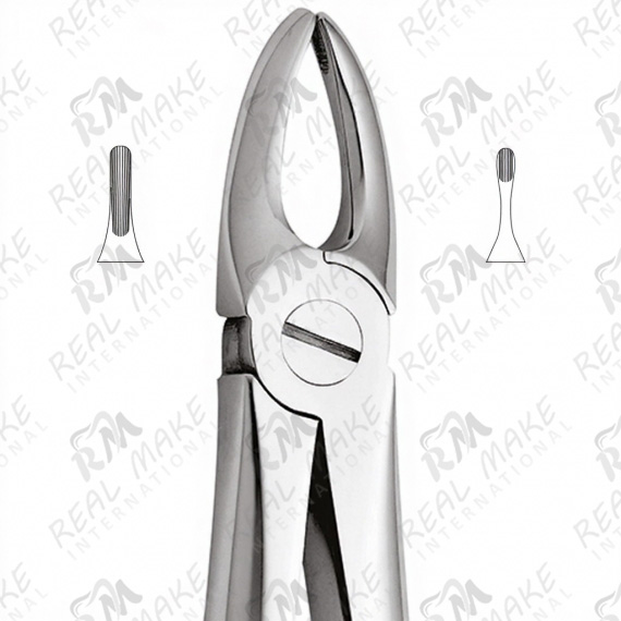 Tooth Forceps Upper Crowded Incisors and Canines