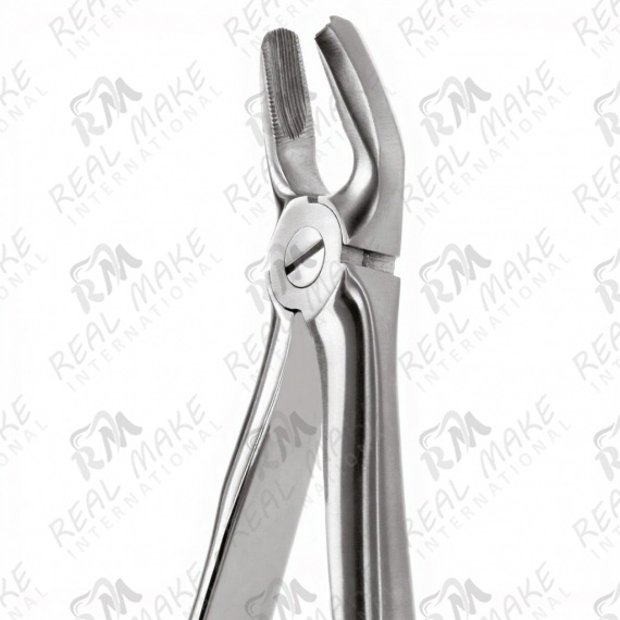 Tooth Forceps For Upper Premolars. Right