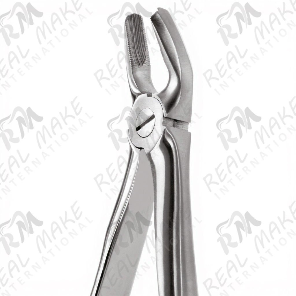 Tooth Forceps For Upper Premolars. Right
