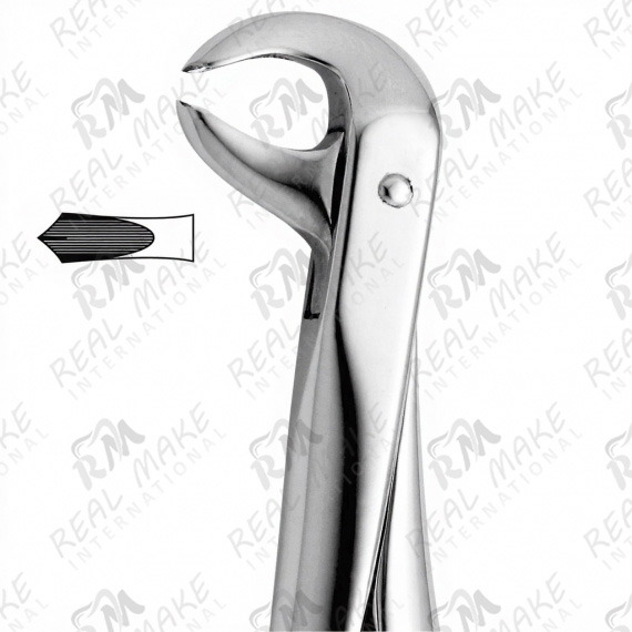 Pedodontic Tooth Forceps For Lower molars, For Children