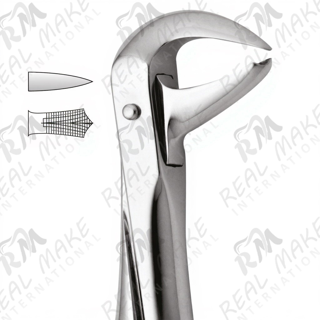 Tooth Forceps For Lower Molars (Wood)