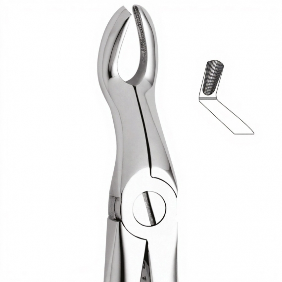 Tooth Forceps For Upper Third Molars & Upper Wisdoms Either Side