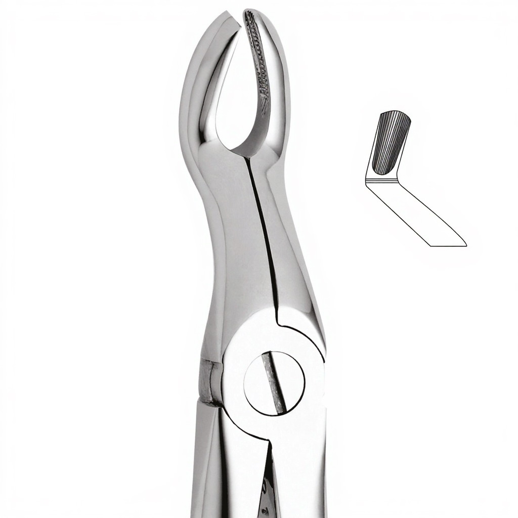 Tooth Forceps For Upper Third Molars & Upper Wisdoms Either Side