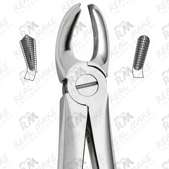 Tooth Forceps For Upper Molars, Right